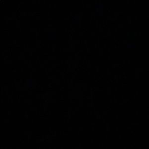 Meet your Posher, Kira-may